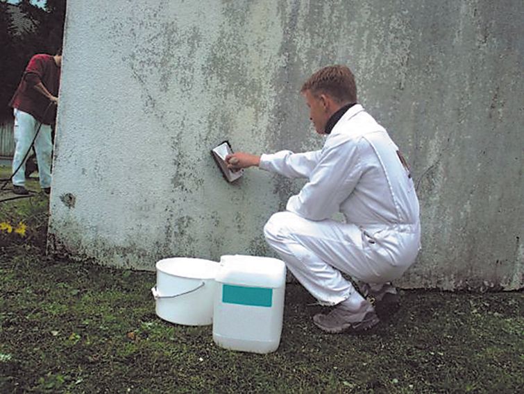 Pleśń na ścianie - odkażanie powierzchni preparatem biobójczym