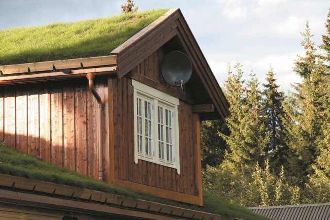 Zielony dach, czyli ogród nad głową