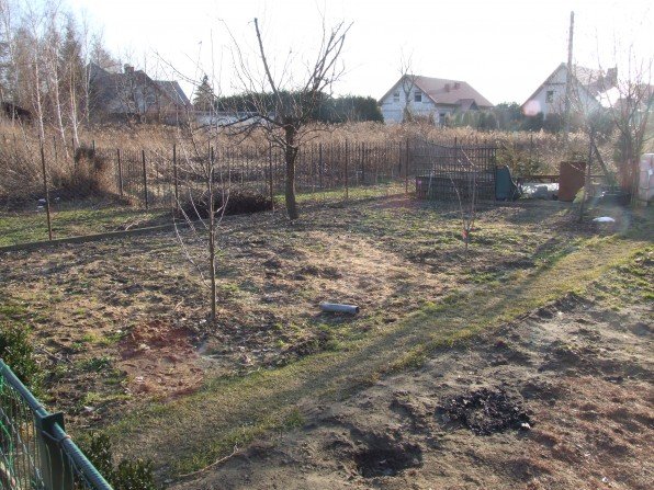 Ogród warzywny dla każdego