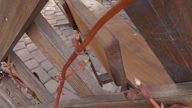 Czas wyjść do pracy do ogrodu - wiosenne prace czas zacząć