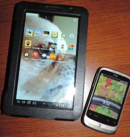 Tablet i smartfon w ogrodzie i w domu