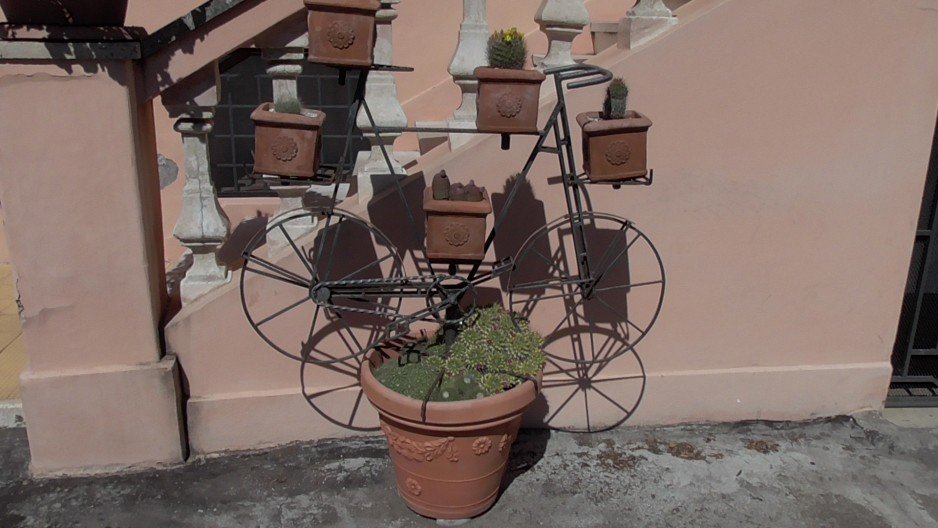 Rowerowy stojak na doniczki