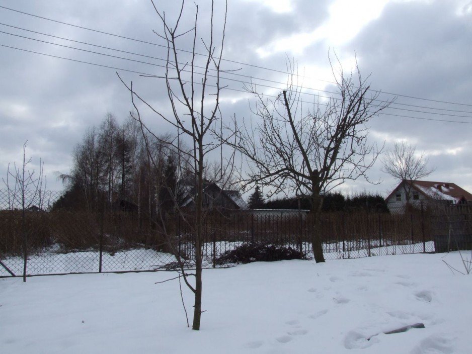 Śnieżna... Niedziela Palmowa