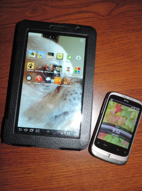 Tablet i smartfon w ogrodzie i w domu