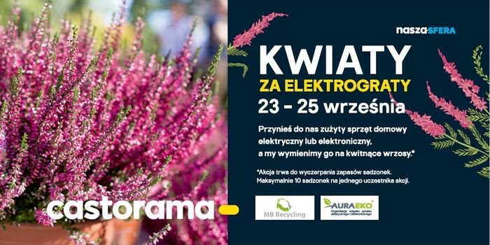 Kwiaty za elektrograty