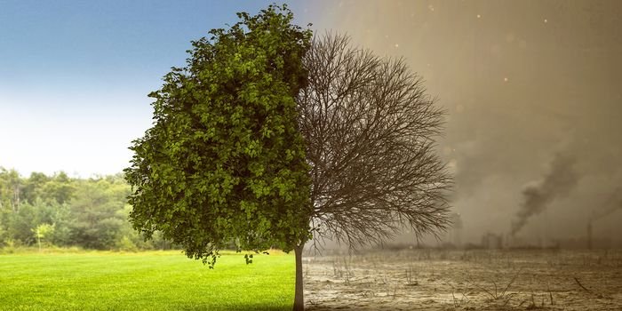 Jakość powietrza – nowe rekomendacje WHO