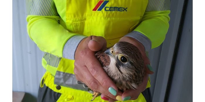 40 pustułek opuściło cementownie CEMEX w 2021 r.