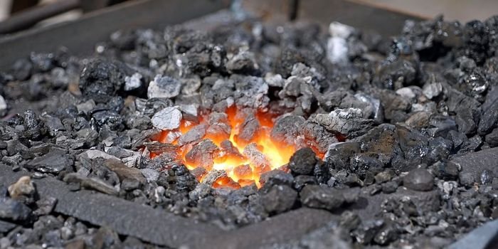 Polski Alarm Smogowy sprawdził ceny węgla i drewna w składach