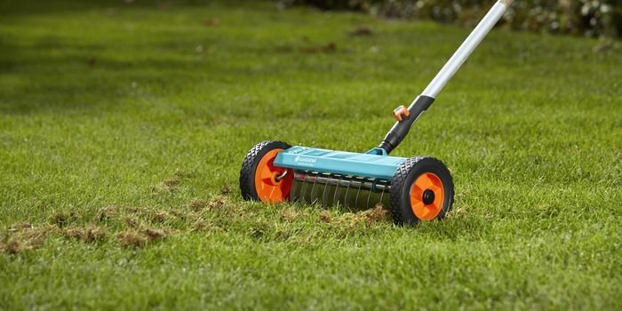 Zdrowy i zadbany trawnik – jak go pielęgnować?