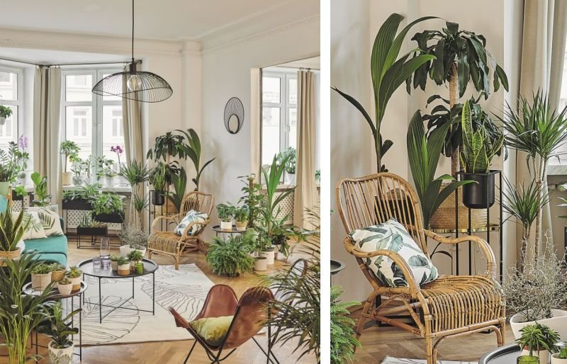Jak dbać o egzotyczne rośliny w mieszkaniu? - galeria