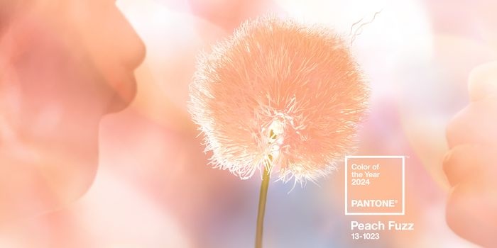 Instytut Pantone ogłosił Kolor Roku 2024