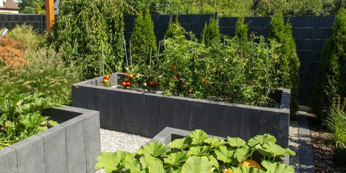 Jak zaplanować ogródek warzywny?