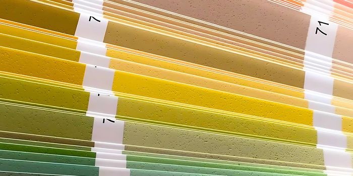 Farby i tynki w dużych projektach budowlanych
