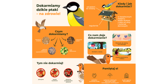 Jak dokarmiać ptaki właściwie?