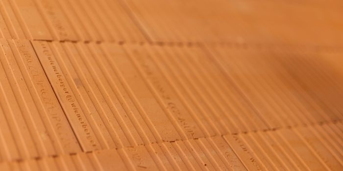Materiał na lata: jak wybrać odpowiednią technologię budowy ścian?