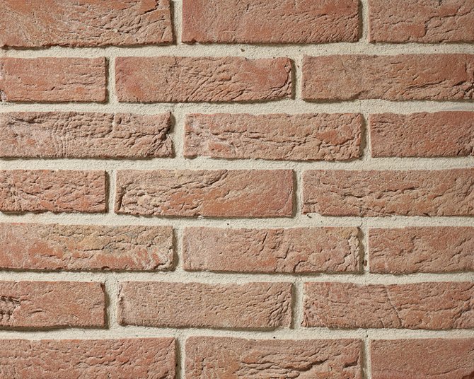 Cegła NELISEEN Anderlecht
