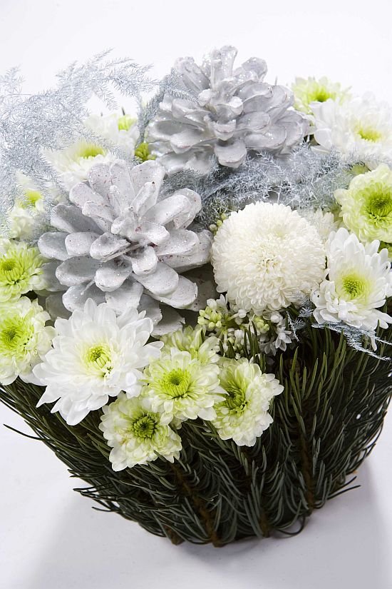 Chrysanthemum