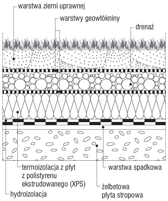 Rys. 4. Stropodach o odwróconej kolejności warstw
pokryty roślinnością
