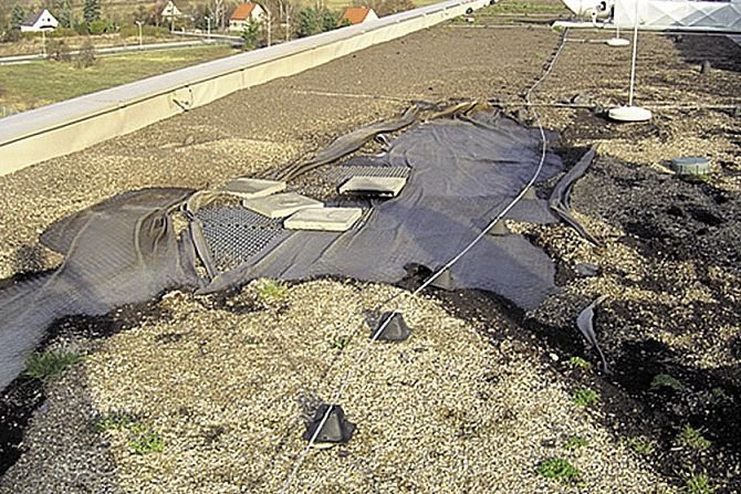 Jak prawidłowo zaprojektować i wykonać dach zielony?
Fot. Optigr&uuml;n