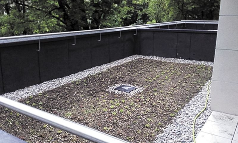 Fot. 3. Ten sam taras zielony po zrealizowaniu prac naprawczych – po odsłonięciu wpustu i zamontowaniu nadstawki rewizyjnej nad wpustem; fot. APK Dachy Zielone