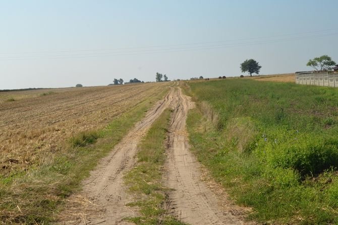 Swobodny dostęp jest naturalnym warunkiem korzystania z nieruchomościFot. www.freeimages.com