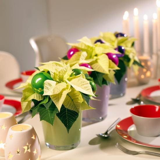 Elegancko przystrojony stół ubarwią kolorowe kwiatowe kompozycje.