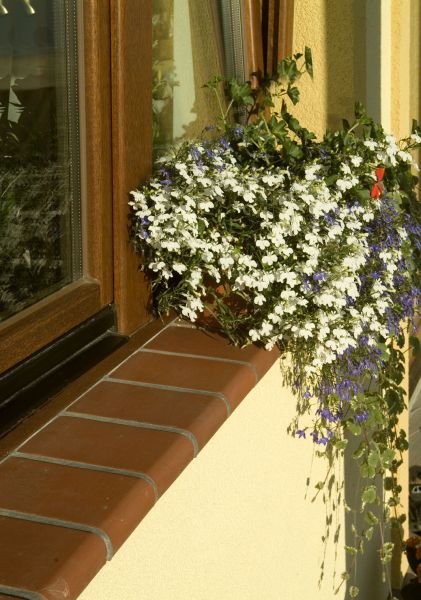 Parapet zewnętrzny z cegły klinkierowej