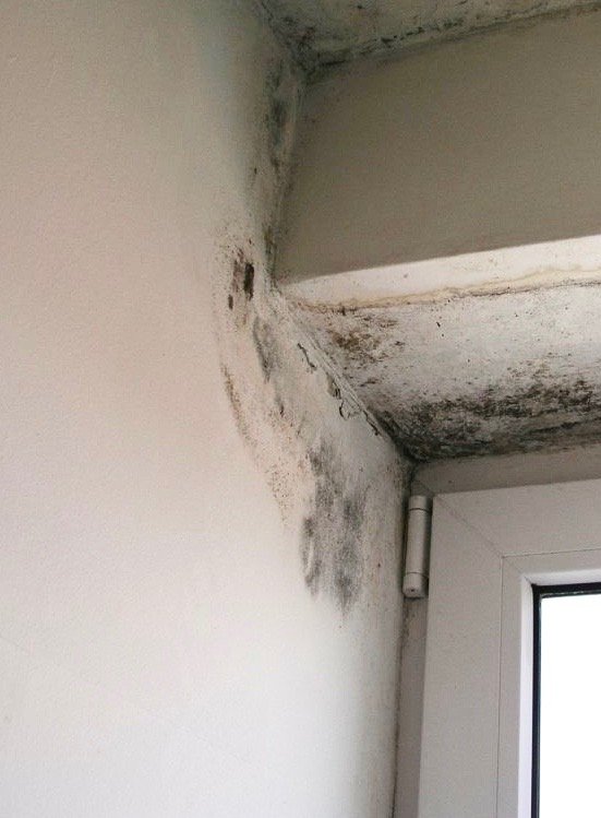 Pleśń w okolicach nadproży i wnęk okiennych