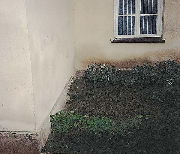 Przyczyną zawilgocenia budynku może być nawet ogródek