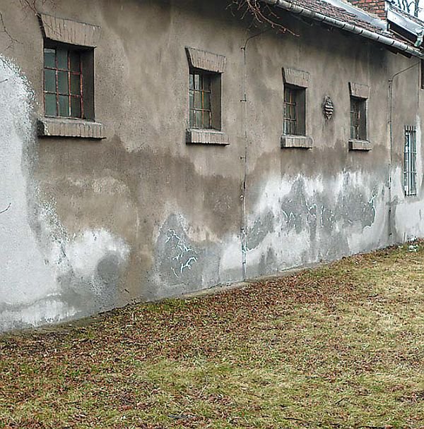 Widoczne plamy na skutek higroskopijnego poboru wilgoci przez zasoloną ścianę