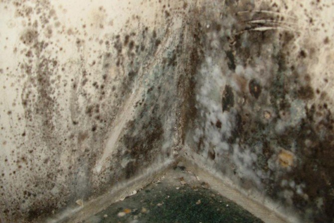 Jak usunąć wilgoć ze ścian?
Fot. www.sxc.hu