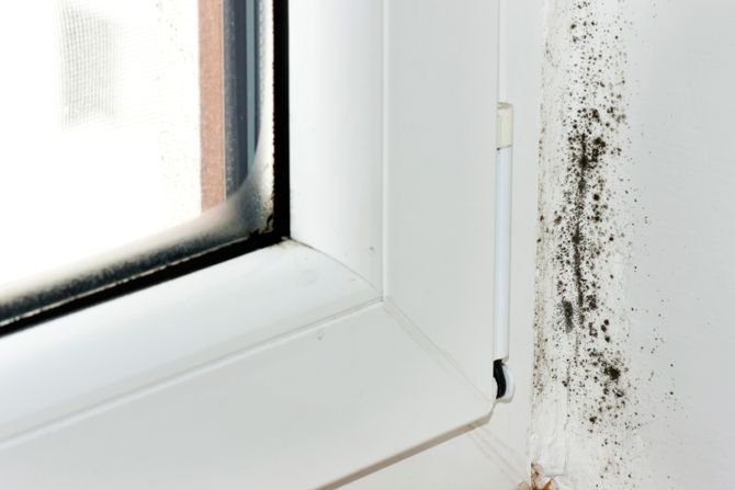 Jak się pozbyć grzyba z łazienki?Fot. Śnieżka