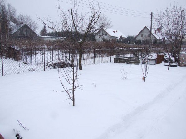 Ogr&oacute;d zimą Fot. Franciszek Rochowczyk