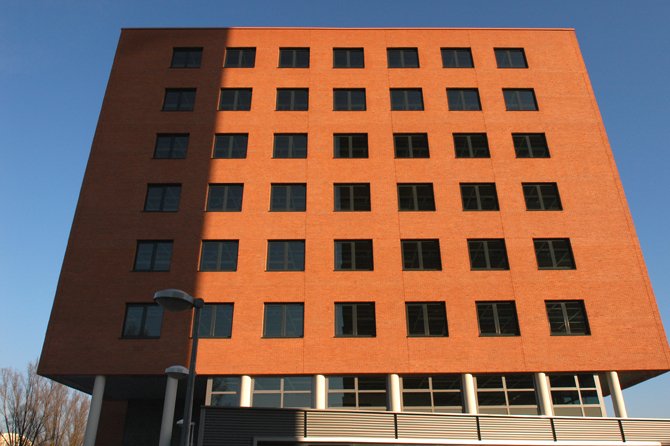 Cegła Muscated WSOR