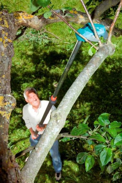 Teleskopowe nożyce do gałęzi Comfort StarCut z wysuwanym trzonkiem (długości od 230 do 410 cm) pozwolą przycinać gałęzie bez konieczności użycia drabiny.