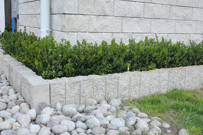 Wąski pas roślin wokół budynku wytyczono za pomocą palisady