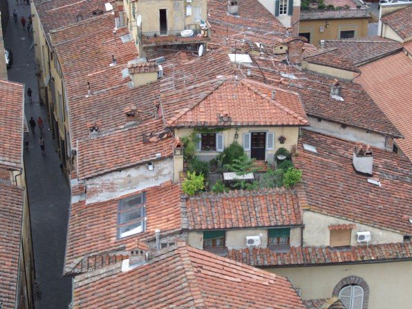 Lucca - ogr&oacute;d na dachu Fot. Franciszek Rochowczyk