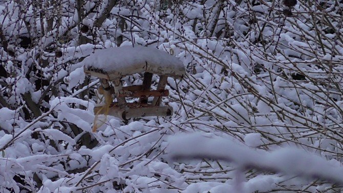 Śnieżny ogr&oacute;d Fot. Franciszek Rochowczyk