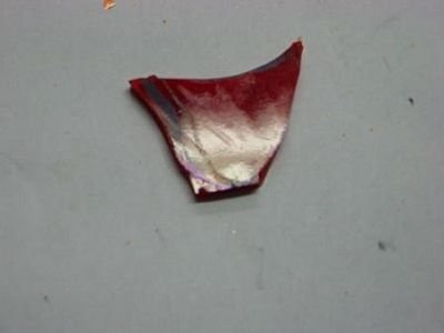 prawy policzek Zosia Samosia