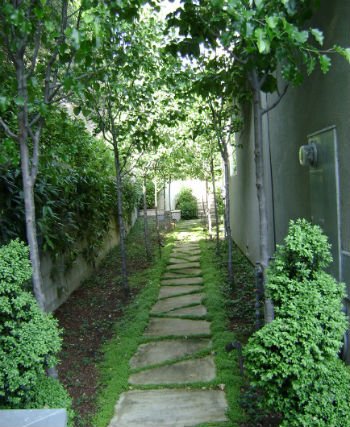 sciezka w ogrodzie frank and grossman landscape contractors