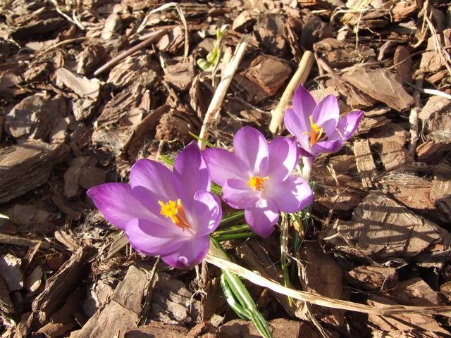 b dscf0573