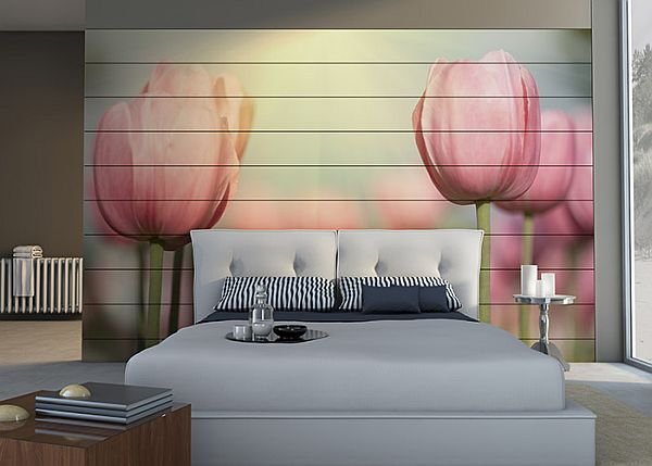fototapeta4u tulipany5