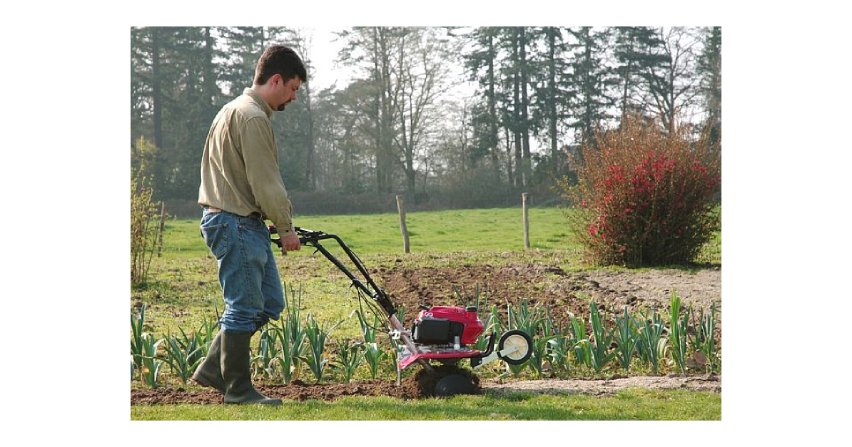 Glebogryzarka umożliwia sprawne, łatwe i szybkie wykonanie prac w ogrodzie, kt&oacute;re wymagają dużego wysiłku fizycznego. Dzięki niej przygotowujemy glebę pod siew, jak i do sadzenia roślin - zakładania warzywnika, zielnika czy rabat kwiatowych.
Fot. Aries Power Equipment