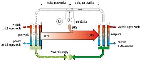 pantera zasady dzialania pompy rys1
