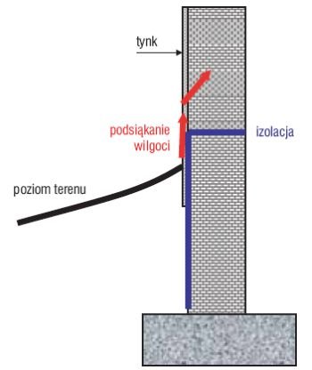rokiel stad ta wilgoc rys3