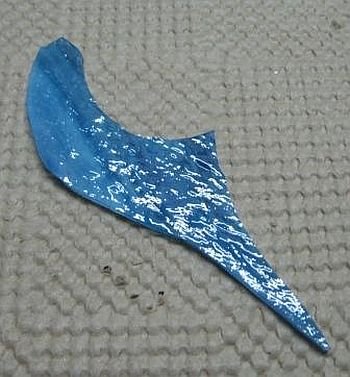 skrzypaczka fot8