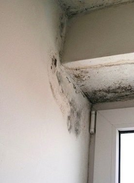 Pleśń w okolicach nadproży i wnęk okiennych