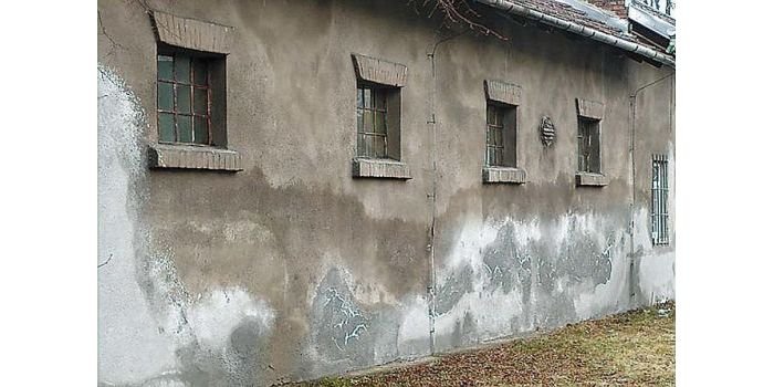 fot. M. Rokiel