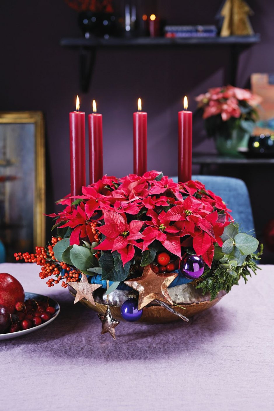 poinsettia opulence