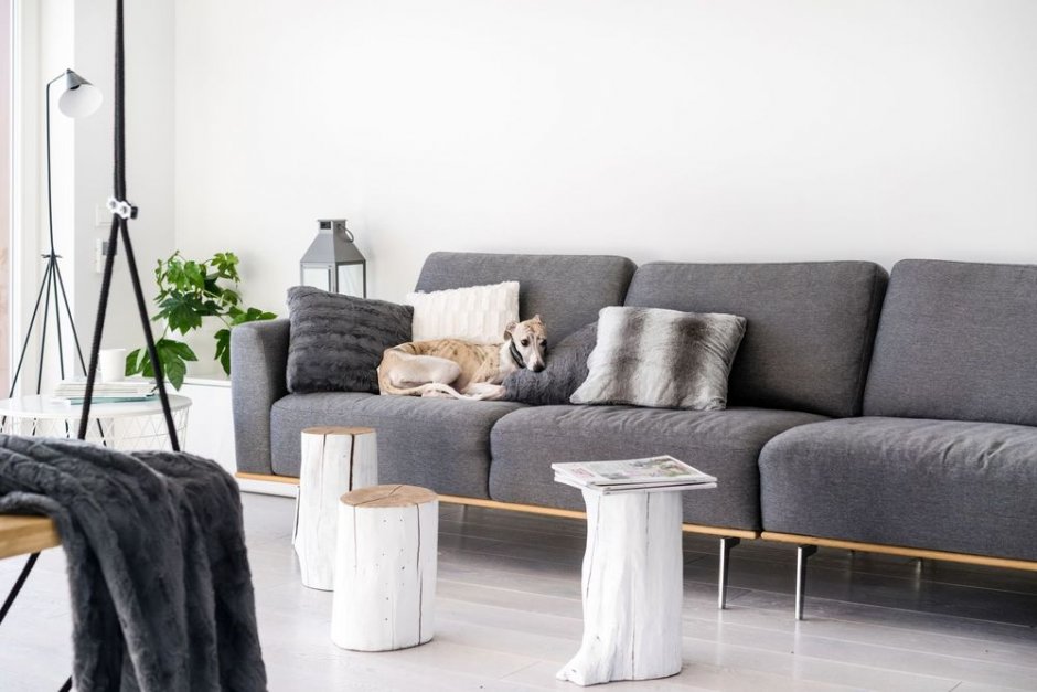 apartament hustawka pion studio4